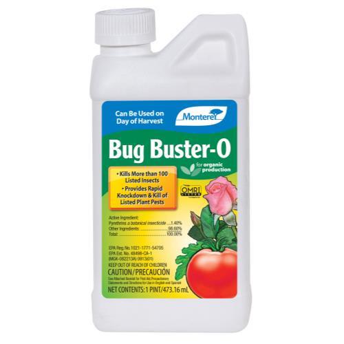 Monterey Bug Buster - O , 1 Pint