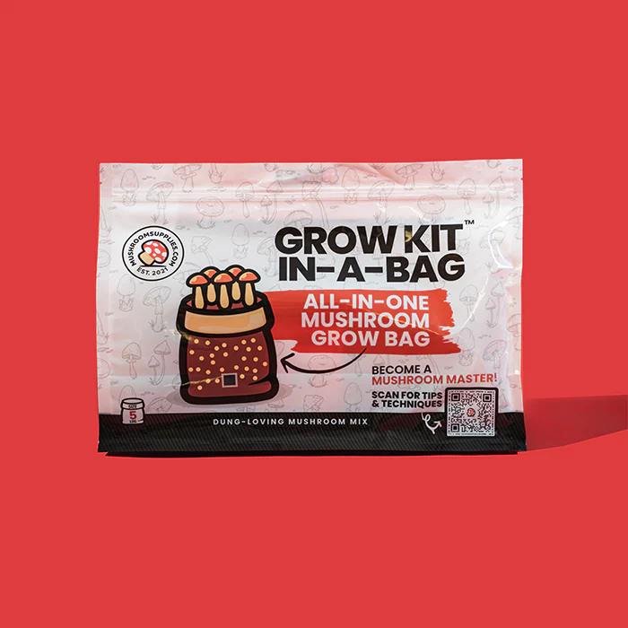 Mushroom Supplies All In One Mushroom Grow Kit In-A-Bag - Image 5
