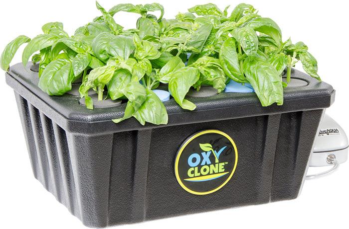 oxyCLONE Cloning System - 20, 40 & 80 Sites - Image 4