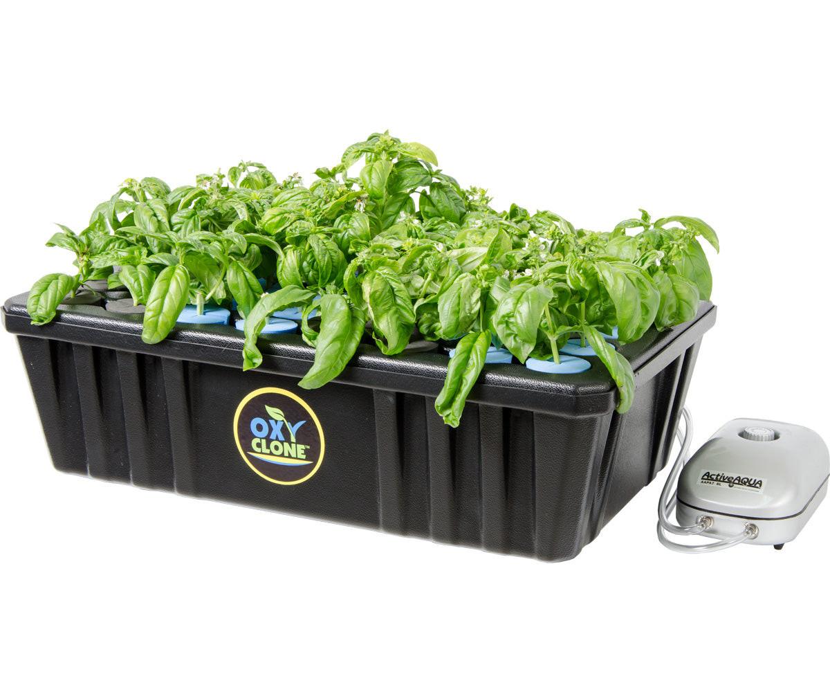 oxyCLONE Cloning System - 20, 40 & 80 Sites - Image 5