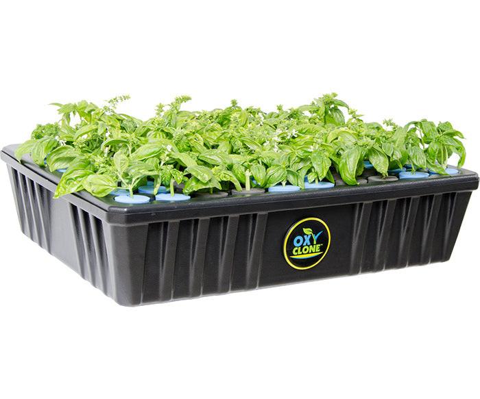 oxyCLONE Cloning System - 20, 40 & 80 Sites - Image 7