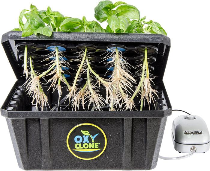 oxyCLONE Cloning System - 20, 40 & 80 Sites - Image 8