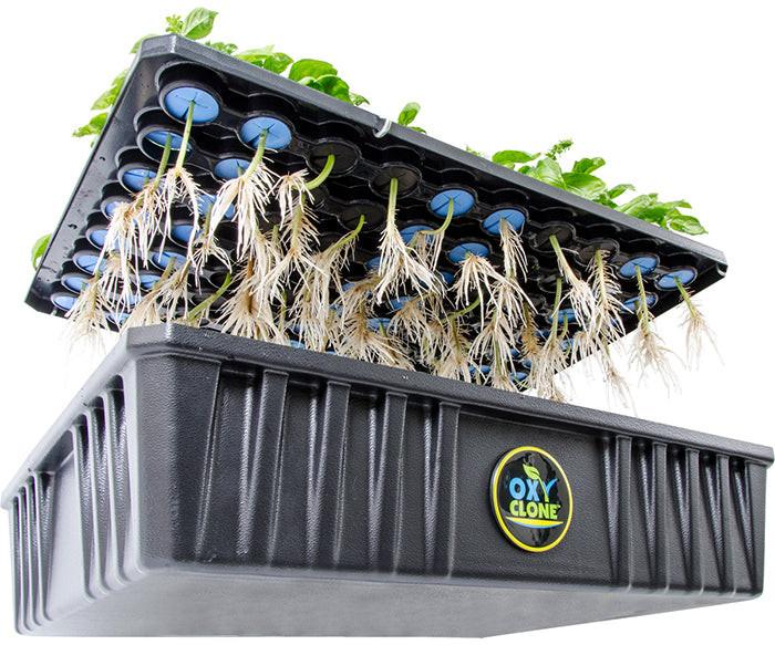 oxyCLONE Cloning System - 20, 40 & 80 Sites - Image 9