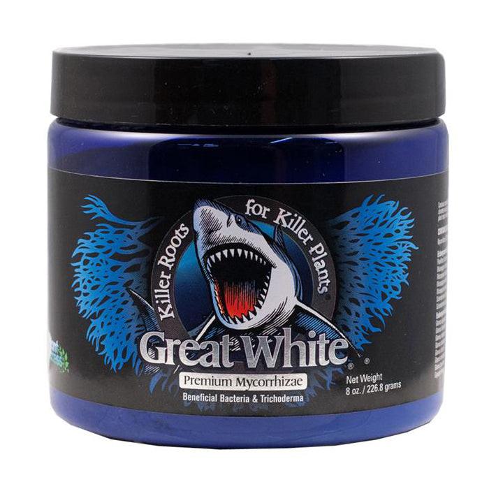 Plant Success Great White - Image 10