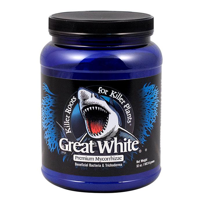 Plant Success Great White - Image 2