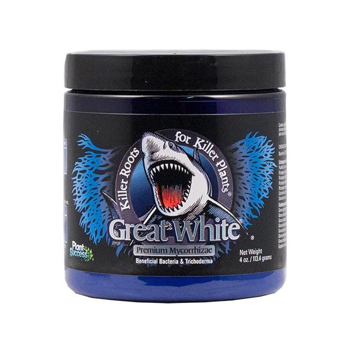 Plant Success Great White - Image 9