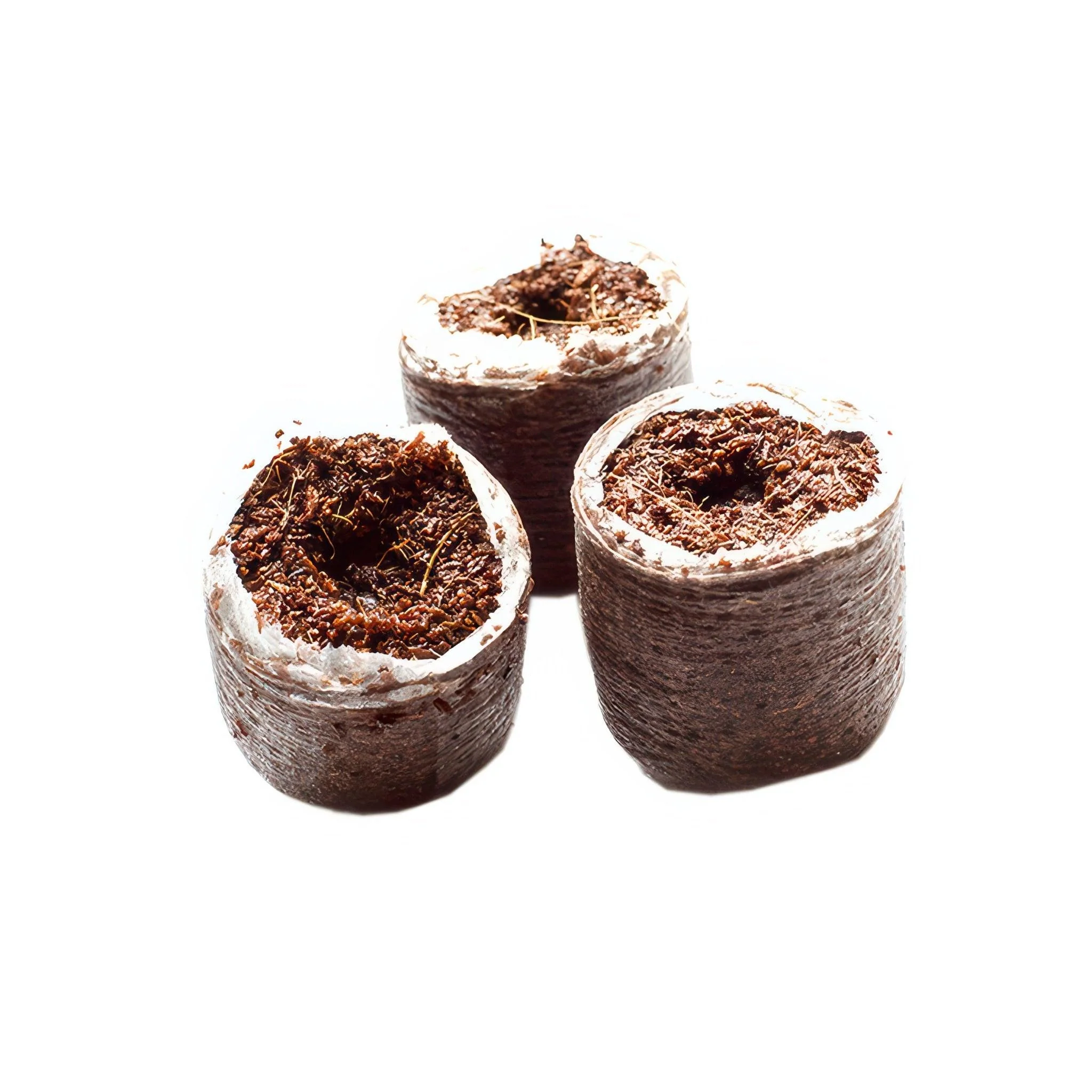 RIOCOCO PCM Coco 1.25" Round Clone & Seedling Plug - Pack of 2500