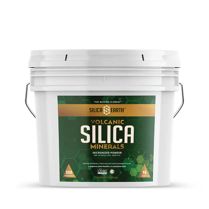 Silica Earth Volcanic Micronized Powder Silica Minerals - Image 3