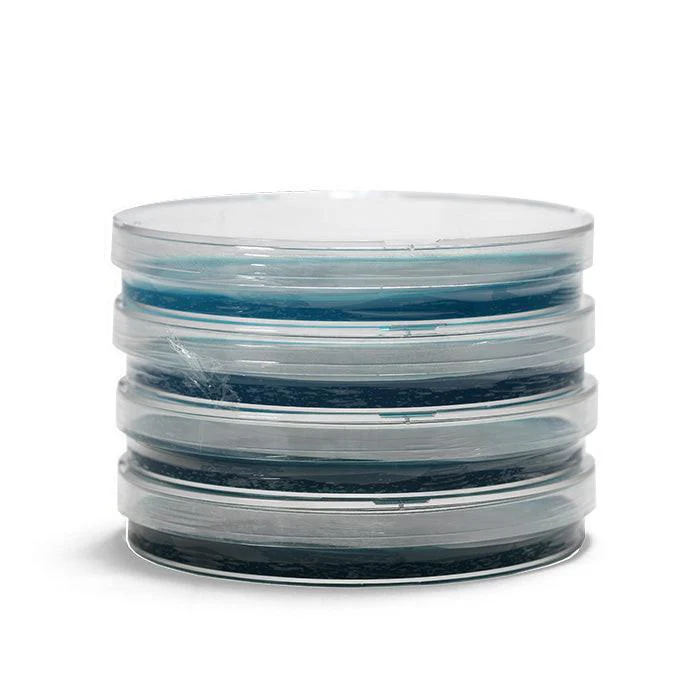 Silly Myco Pre-Poured Agar Plates, Case of 50 - Image 2
