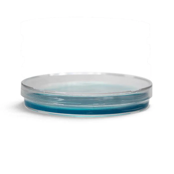 Silly Myco Pre-Poured Agar Plates, Case of 50 - Image 3