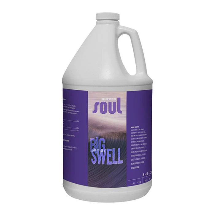 Soul Big Swell - Image 2