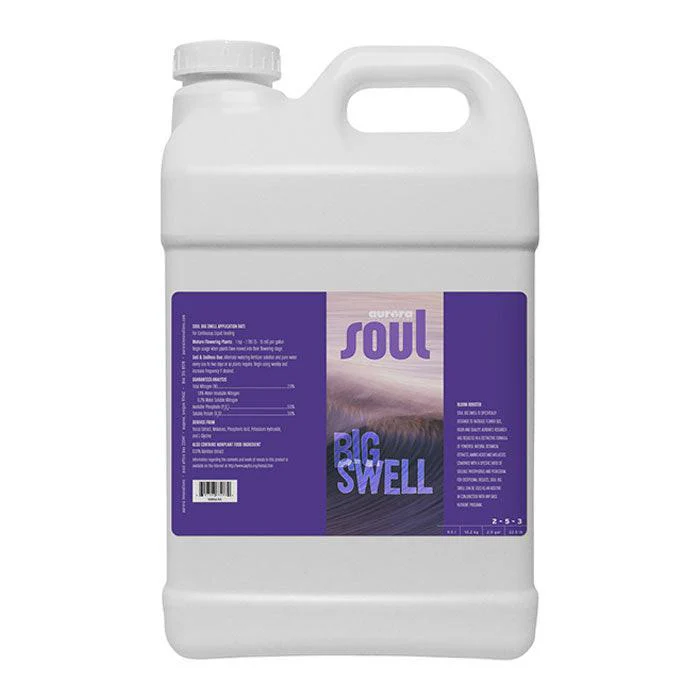 Soul Big Swell - Image 6