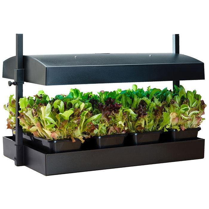 SunBlaster Grow Light Gardens - Image 3