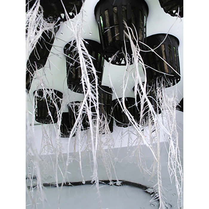 SuperCloset SuperCloner 50 Site Cloning Machine - Image 6