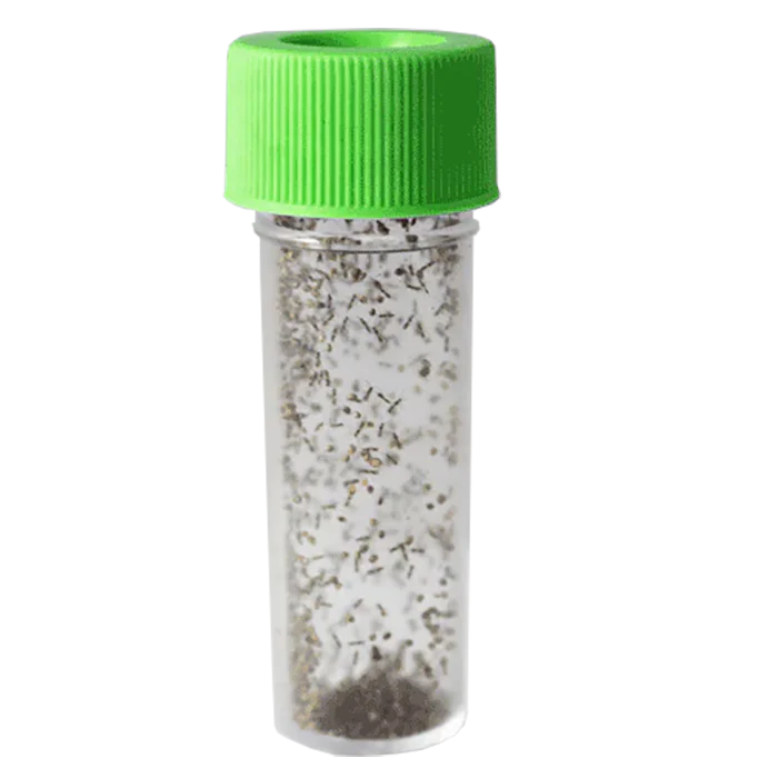 Tip Top Bio-Control Aphidius Ervi Beneficial Parasitic Wasps - Image 3