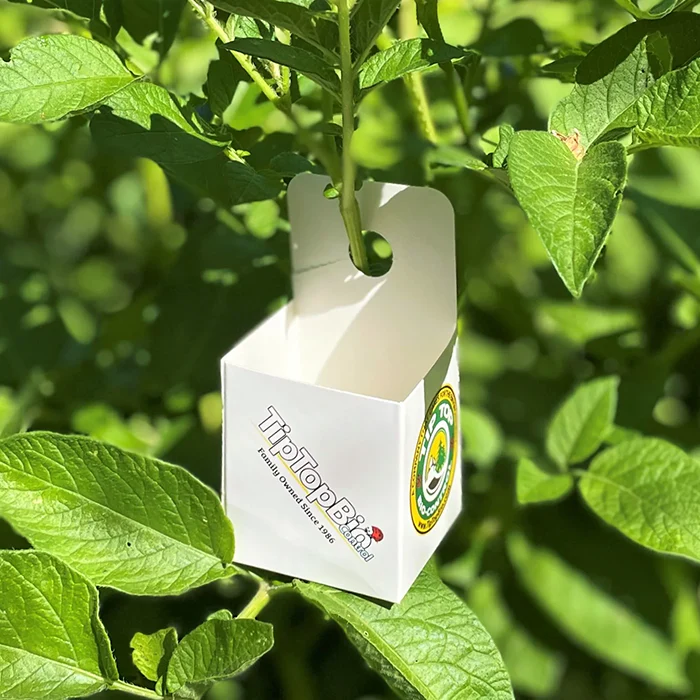 Tip Top Bio-Control Beneficial Insect Hanging Release Boxes, Pack of 10 - Image 2