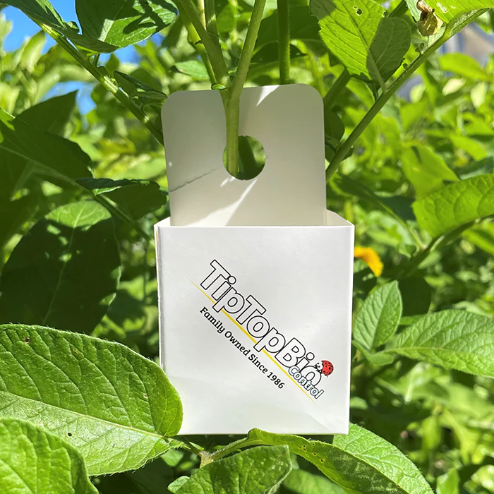 Tip Top Bio-Control Beneficial Insect Hanging Release Boxes, Pack of 10 - Image 3