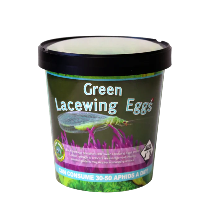 Tip Top Bio-Control Green Lacewing Eggs - Image 2
