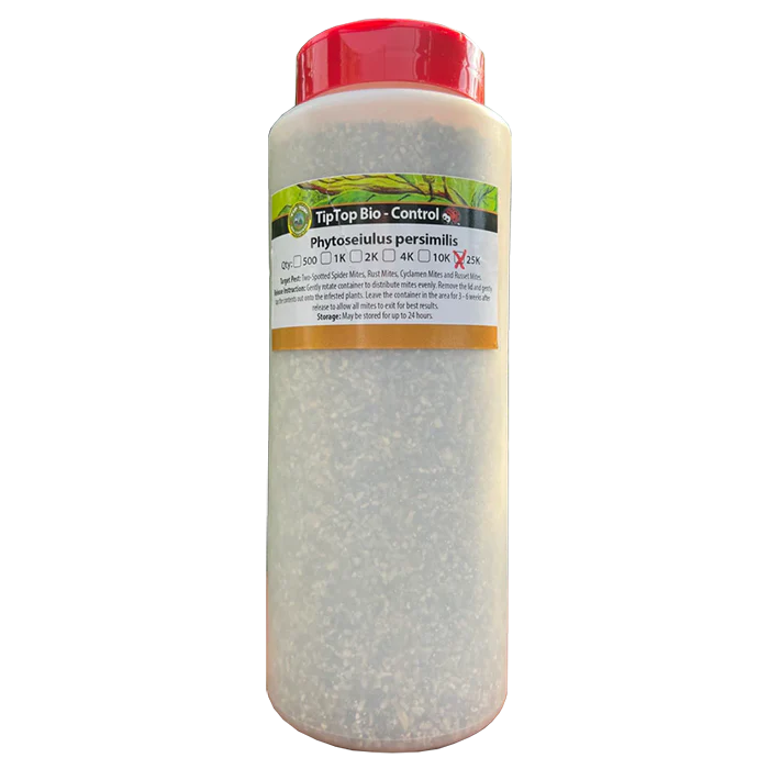 Tip Top Bio-Control Phytoseiulus Persimilis Beneficial Mites - Image 3