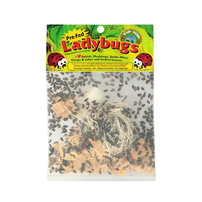 Tip Top Bio-Control Pre-Fed Ladybugs - Image 2