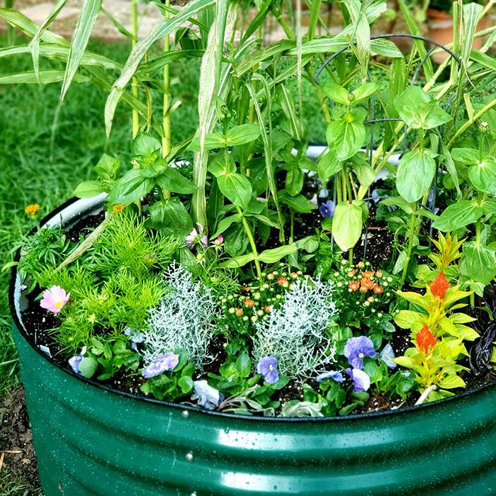 Vego Garden 17 Inch Tall 42 Wide Round Metal Raised Garden Bed - Modern Gray - Image 8