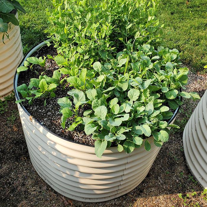 Vego Garden 32 Inch Tall 42 Wide Round Metal Raised Garden Bed - Pearl White - Image 8