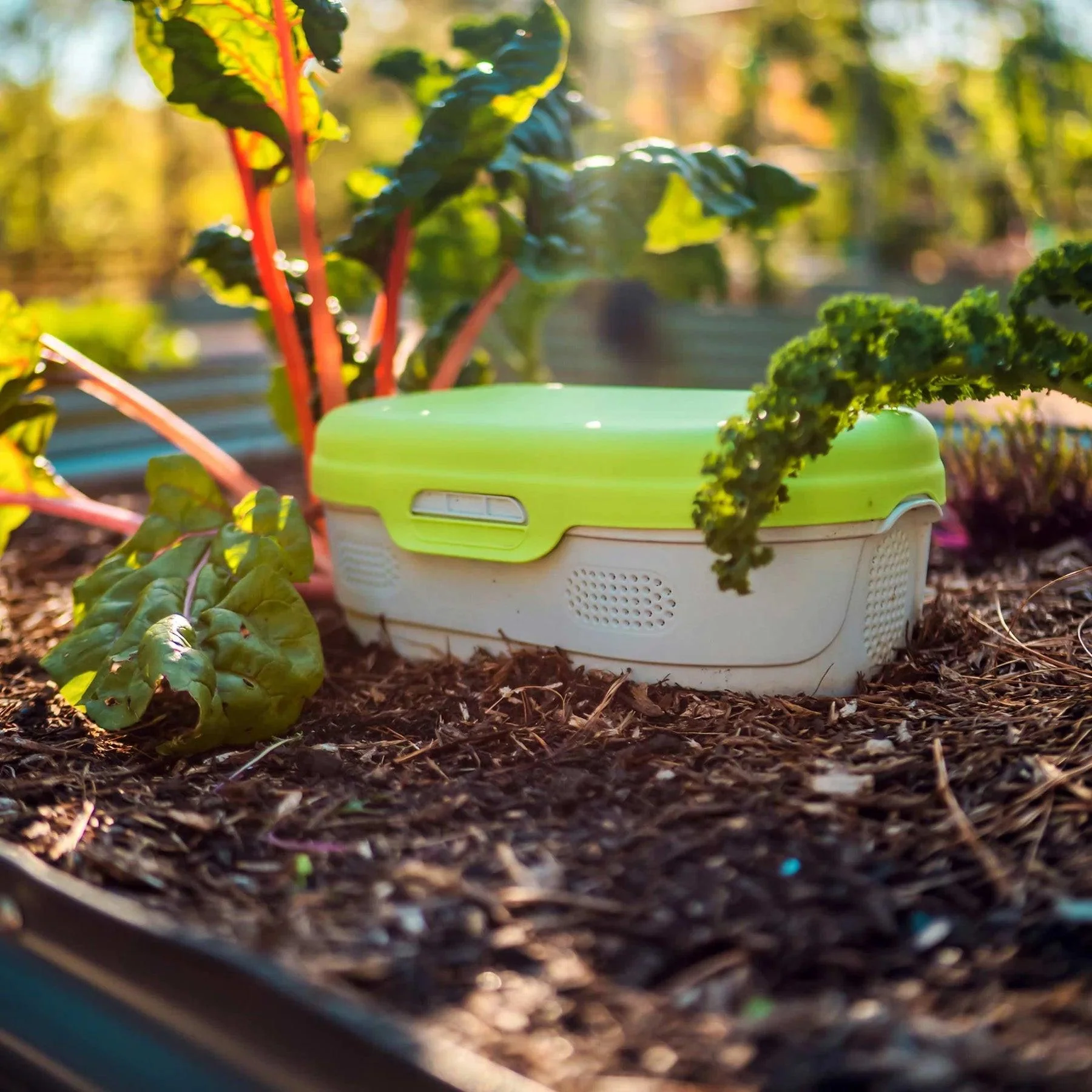 Vego Garden In-Ground Worm Composter - Pack of 2 - Image 9