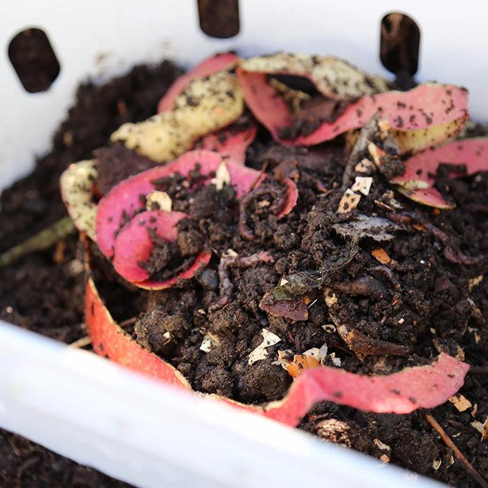 Vego Garden In-Ground Worm Composter - Single - Image 7