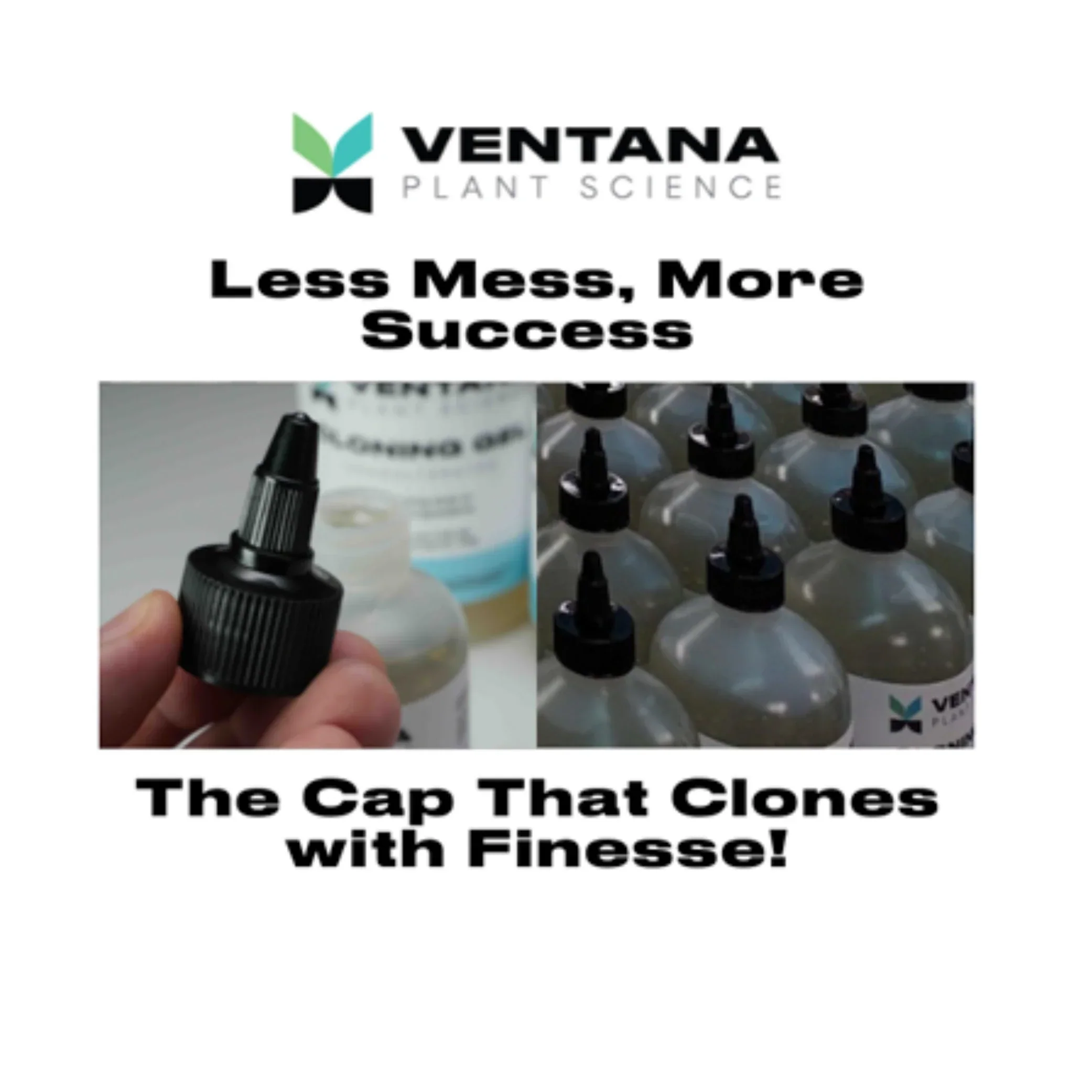 Ventana Plant Science Cloning Gel - Image 8