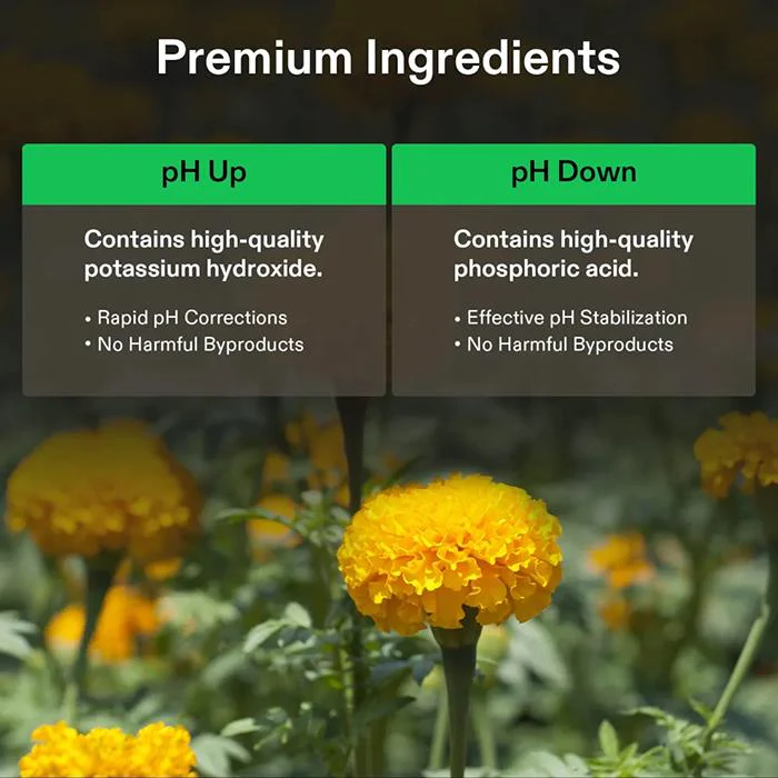 Vivosun pH Up & pH Down Kit, 1 Quart Each - Image 3
