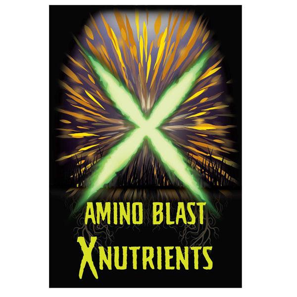 X Nutrients Amino Blast, 1 Quart - Image 2